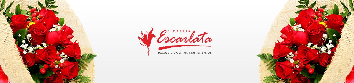 Banner Floreria Escarlata Quito