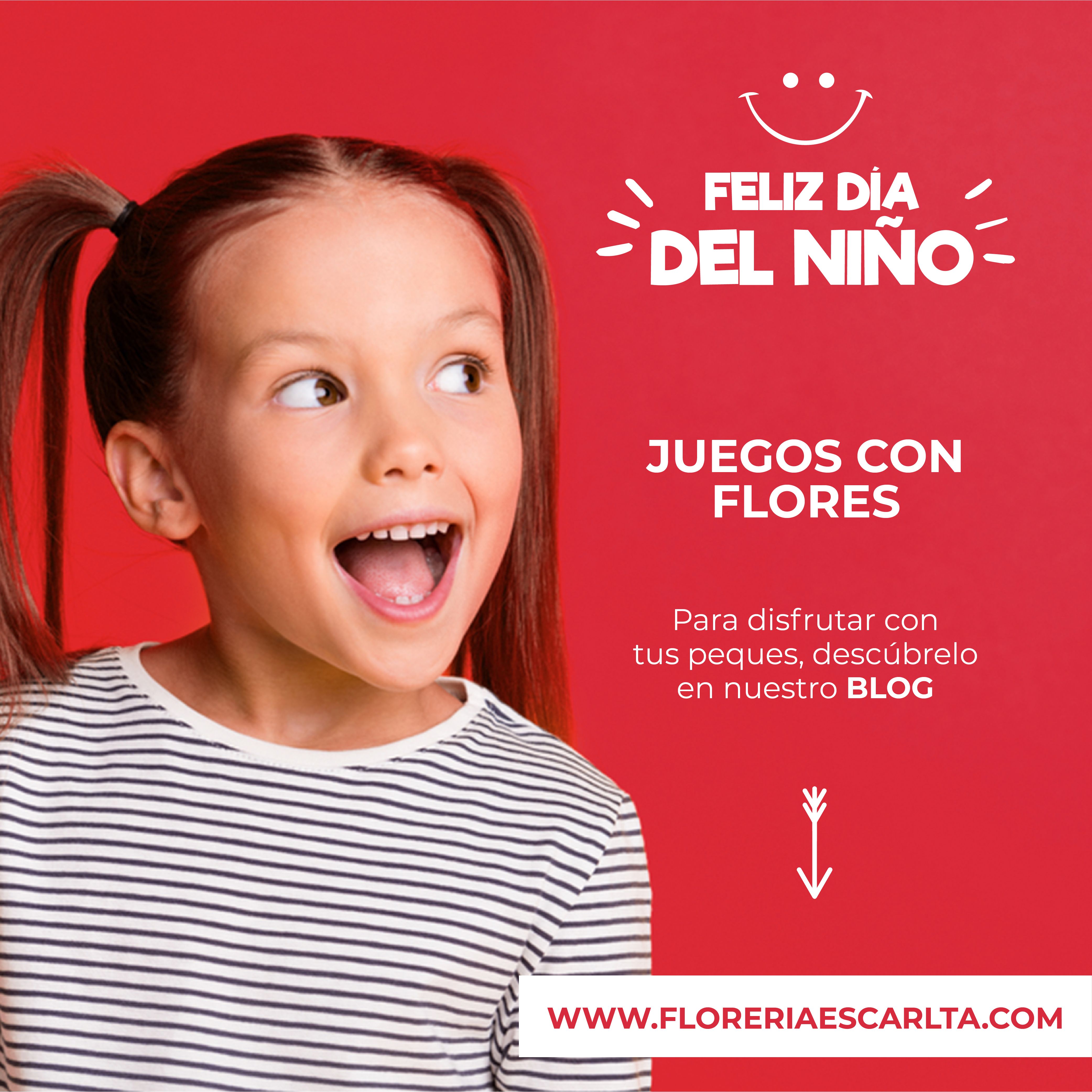 Odoo CMS - una imagen grande