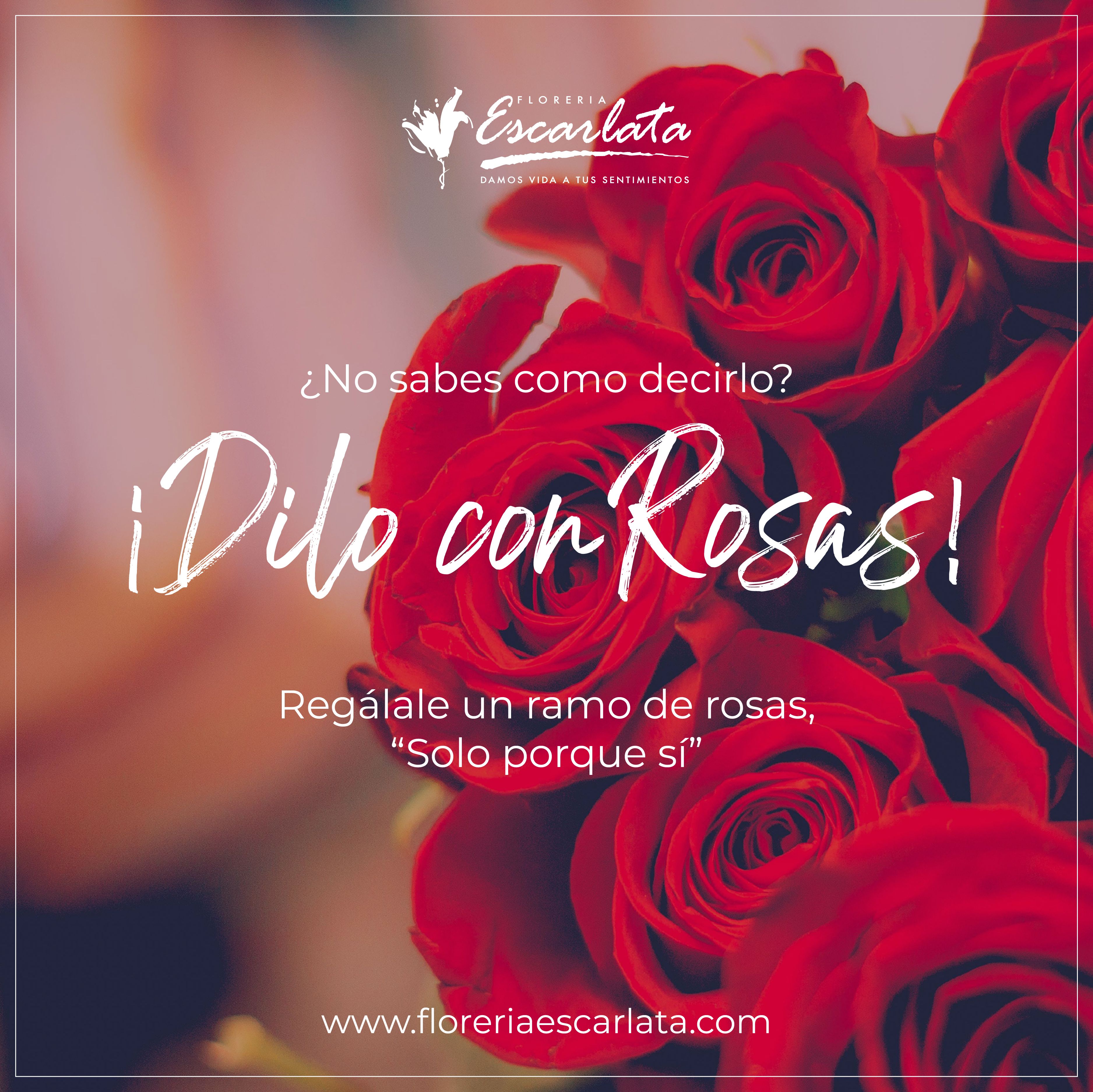 Imagen de Odoo y bloque de texto