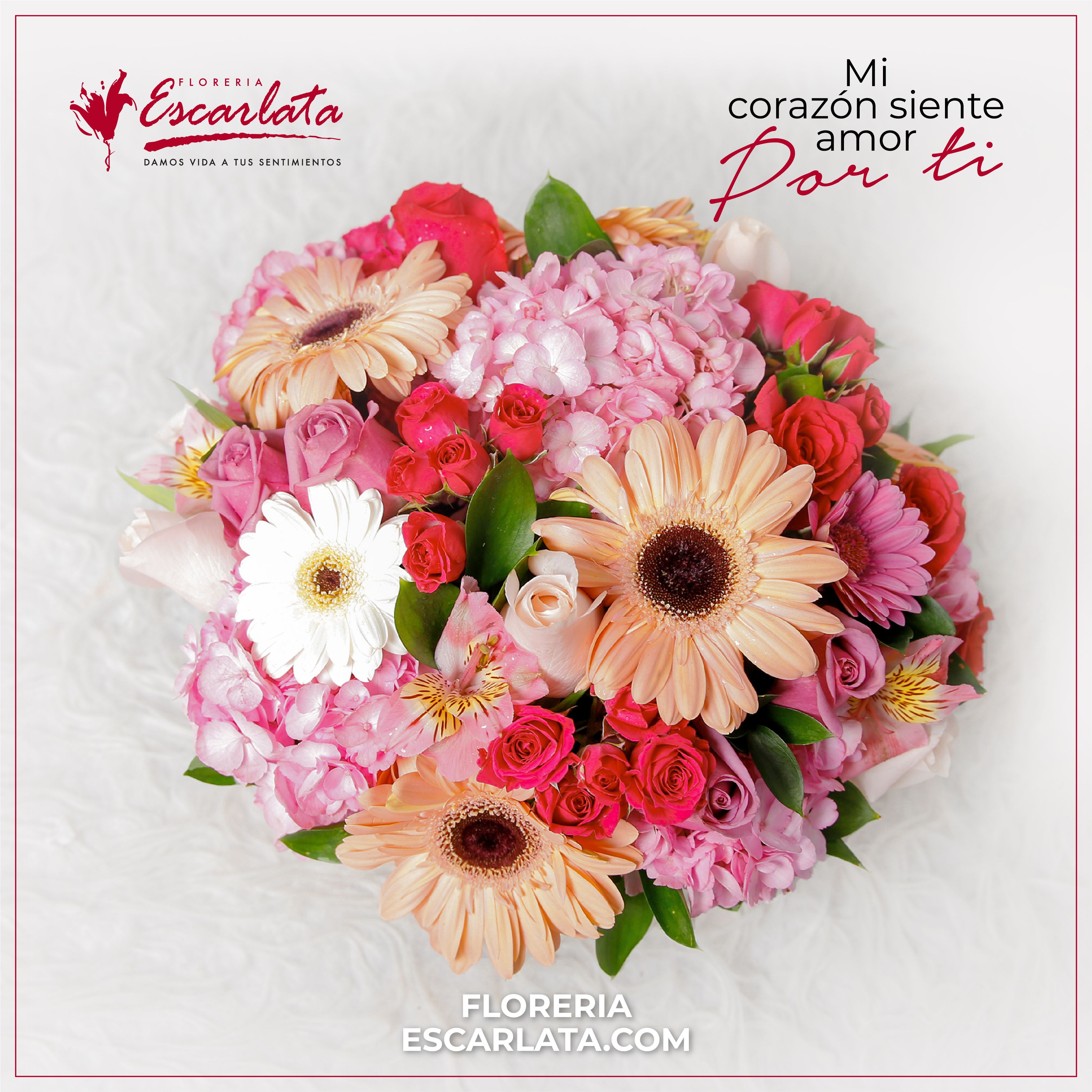Odoo CMS - una imagen grande