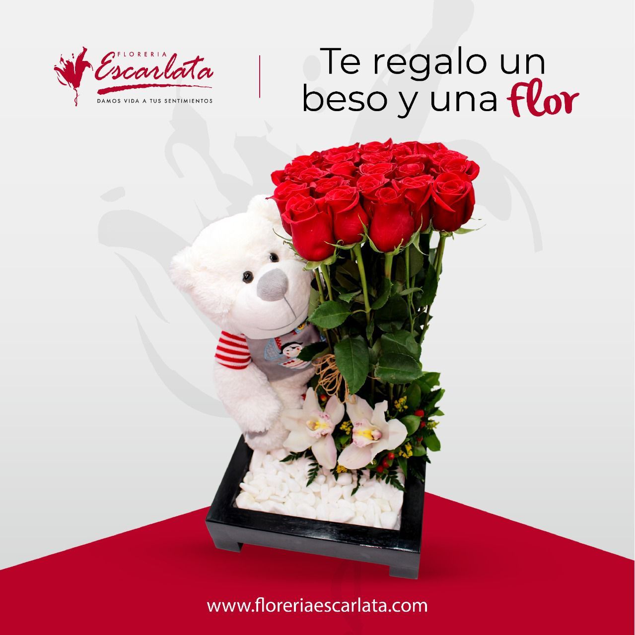 Texto de Odoo y bloque de imagen