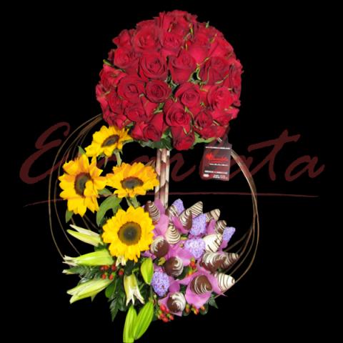 FANTASIAS MAGICAS 