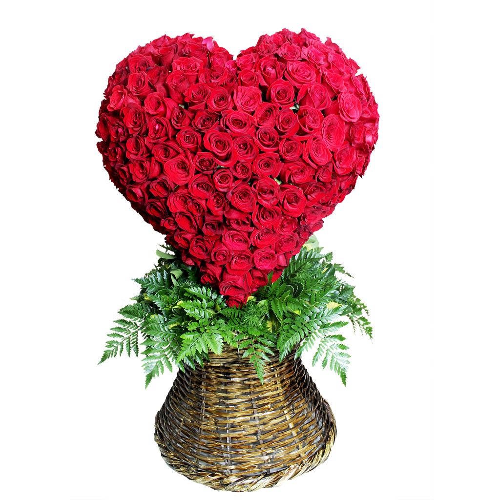 LATIDOS DE AMOR