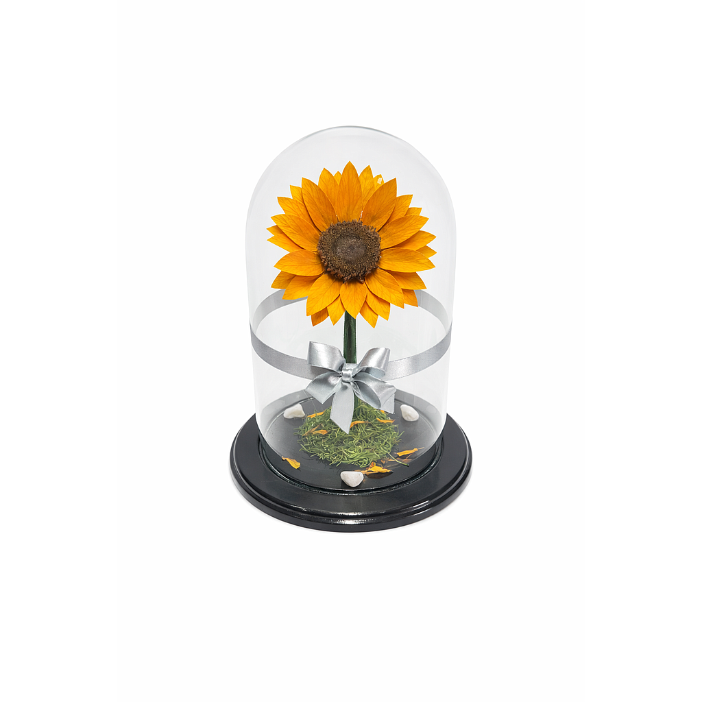GIRASOL ETERNO