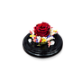 TODA UNA VIDA ROSA